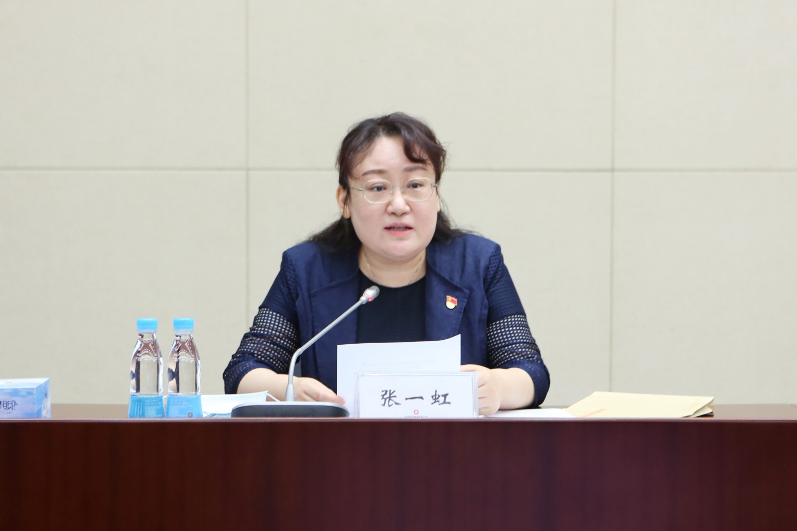 巡视办负责同志张一虹选用.jpg 巡视办负责同志张一虹选用.jpg